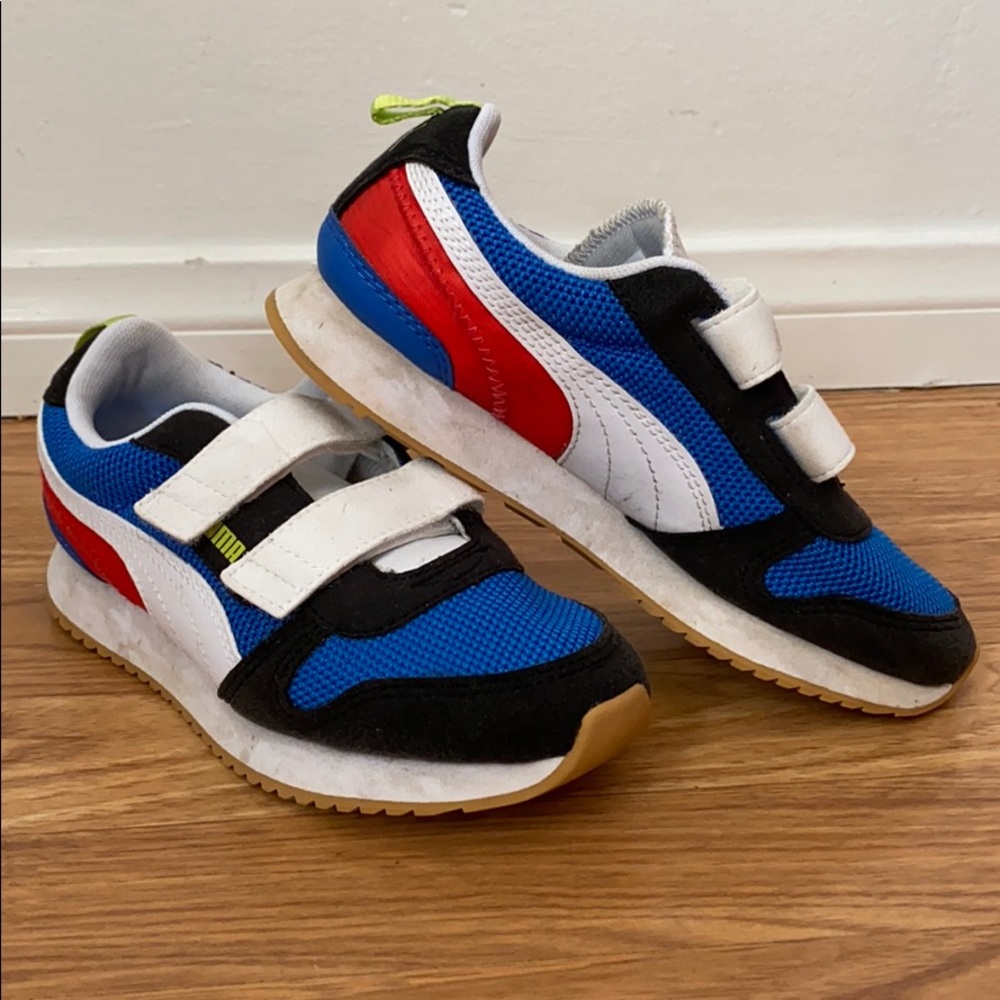 Red and Blue Pumas